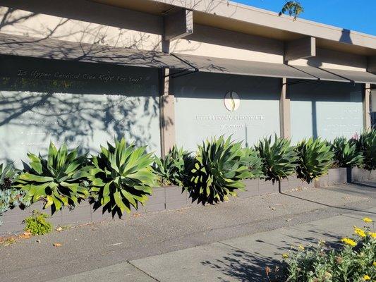 Upper Cervical Chiropractic of Marin