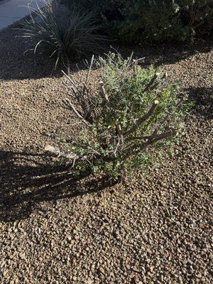 City 2 City Landscaping