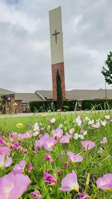North Garland Baptist Fellowship