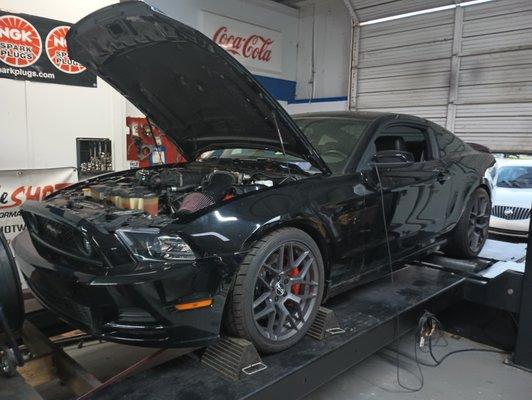 Optimum Performance Center