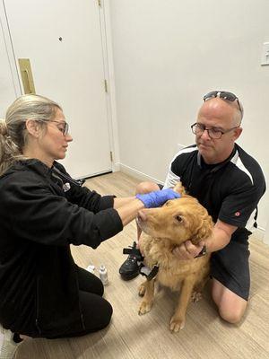 GoodVets - Boynton Beach