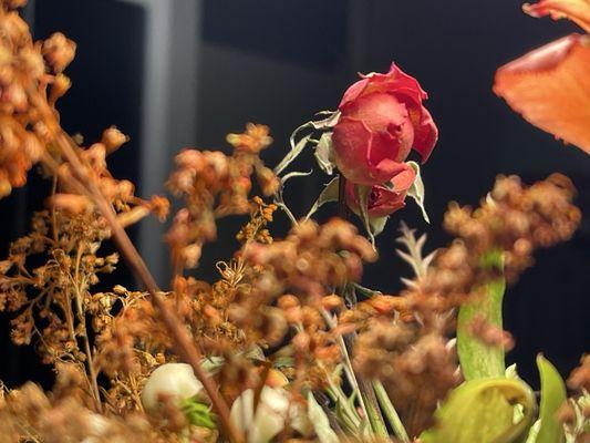 Palm Springs Florist, Inc.