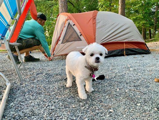 Fletcher Veterinary Clinic