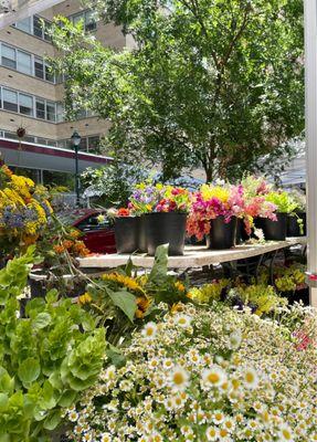 Rittenhouse Farmers’ Market