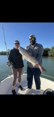 Sarasota Bay Fishing Charters