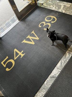 Lyons Den Power Yoga