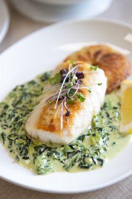 Fish Florentine at Rang's Cocina Moderne in Las Vegas