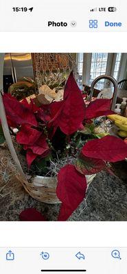 Collene's Crafts & Flowers