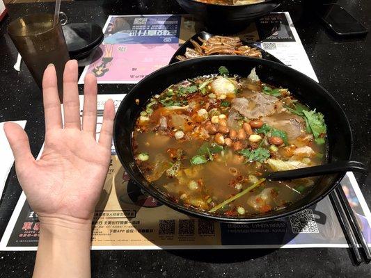 Huge bowl of Guilin noodles (my hand for scale)