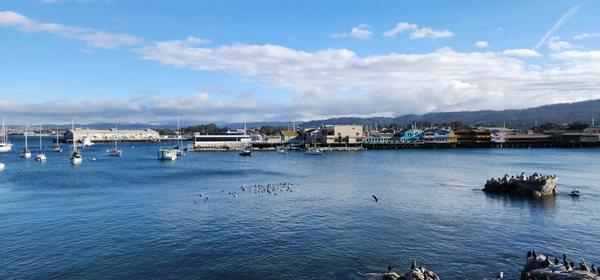 George Moring - Arbor Financial Group