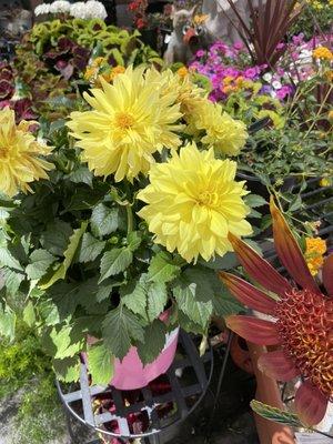 Outdoor Supply Hardware