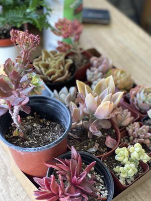 Heavenly Vintage Nursery