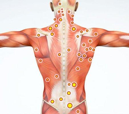 SI SIENTES DOLOR EN ALGUNAS DE ESTAS AREAS ES HORA DE RECIBIR UN MASSAGE