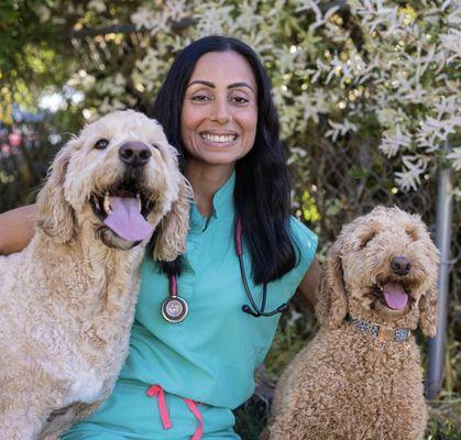 Dr. Mann and dog wellness