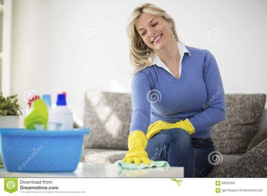 TrinTastic Cleaning