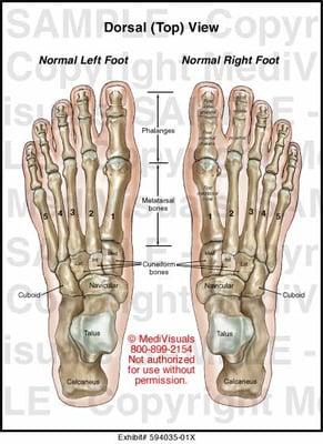 Comprehensive foot care for all your foot problems