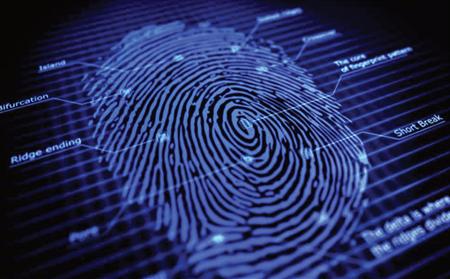 Palm Springs Desert Investigators