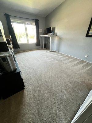 Darren's Carpet Care