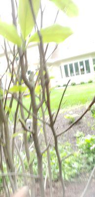 Home Landscape Materials