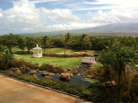 View from the veranda.