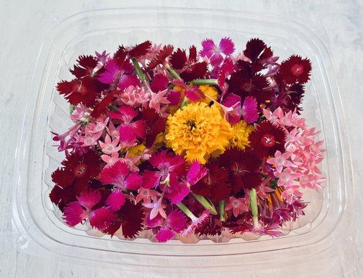 Tasty Tropical Farms