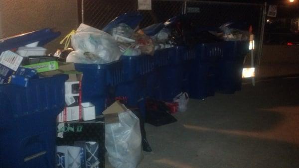 With the gas lines still out, the trash dumpster had to be replaced. This is what it looks like now before trash pick up.