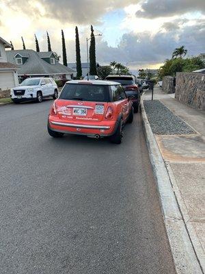 Team Lally Real Estate