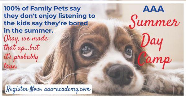 AAA Academy Enrichment Camps