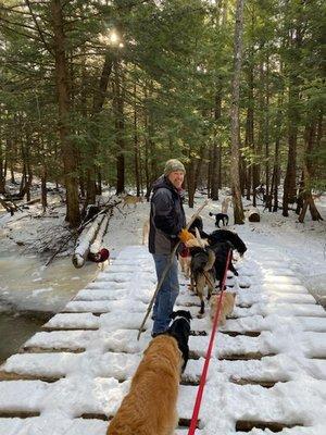 Suds & Trim Professional Grooming, Boarding & Daycare