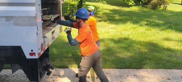 Alexander's Tree Service