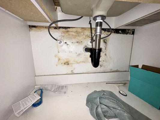 Guaranteed Property and Mold Inspection