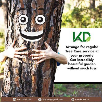 KD Tree Service Buffalo NY