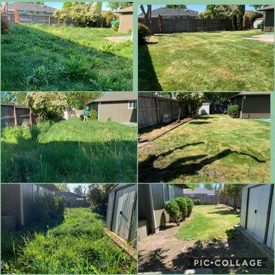 Exclusive Yard Maintenance