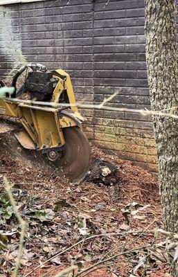 Atlanta Eagle Landscaping