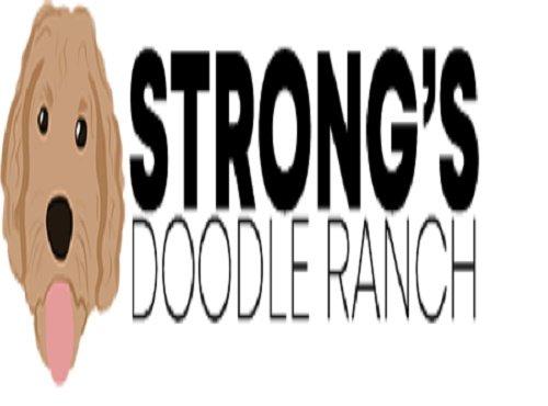 Strong’s Doodle Ranch