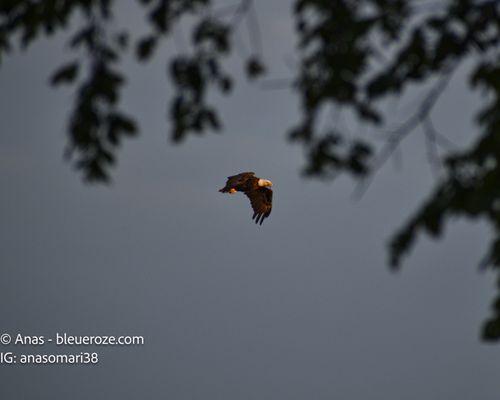 Windsor Locks Canal Trail State Park