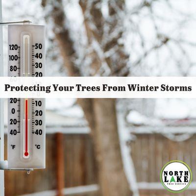 North Lake Tree Service