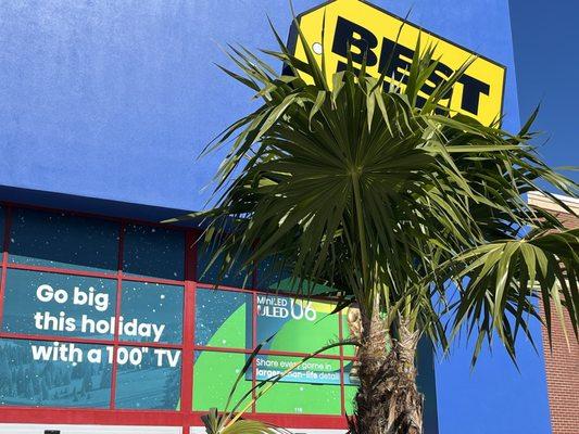 100 ?!?!? November 15, 2025