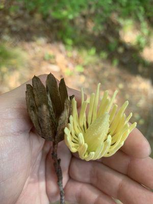 Lake Meade Park photo