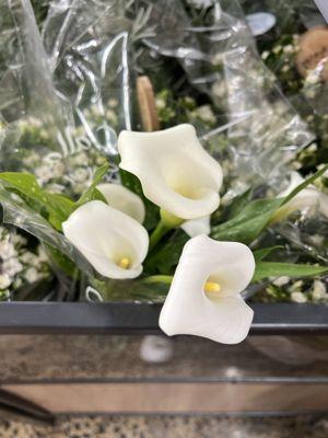 12/19/25 Gorgeous Calla Lillies