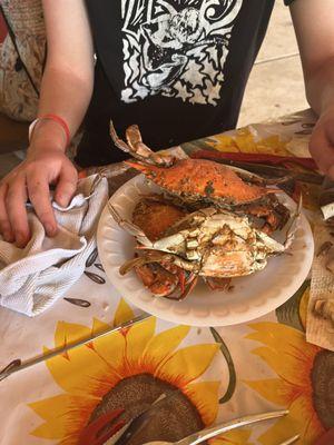 SouthEast Crab Feast