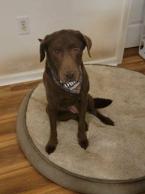 Baywater Animal Rescue