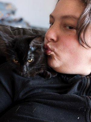 Mayhem's Home For Wayward Animals