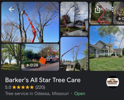 Barker's All Star Tree Care