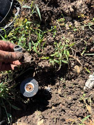 Armstrong Landscape and Irrigation