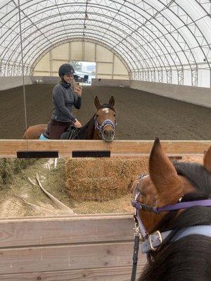 Valley View Equestrian