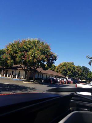 Department of Motor Vehicles