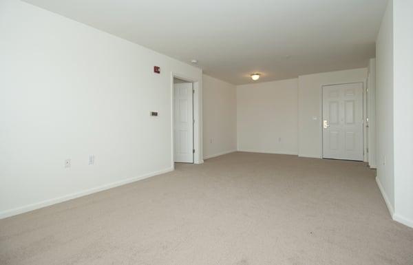 The Woods At Victoria Park