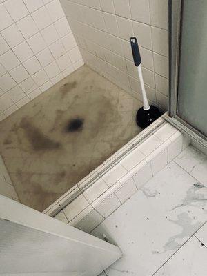 Flush Right Drain Cleaning