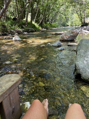 Feet in the creek = happy girl.